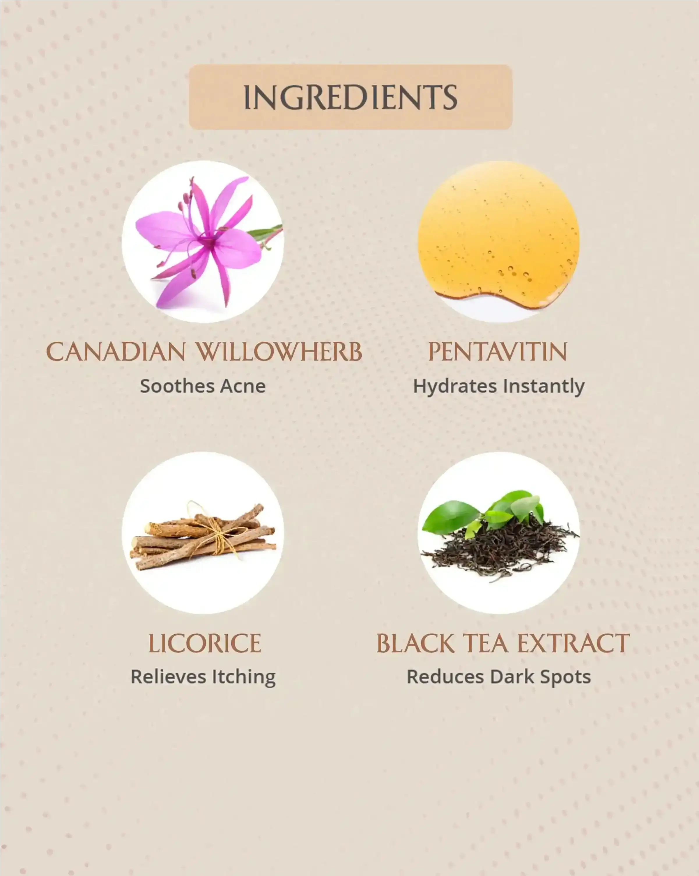 List of ingredients with corresponding benefits on a beige background